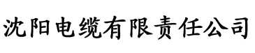 骑女友app电缆厂logo